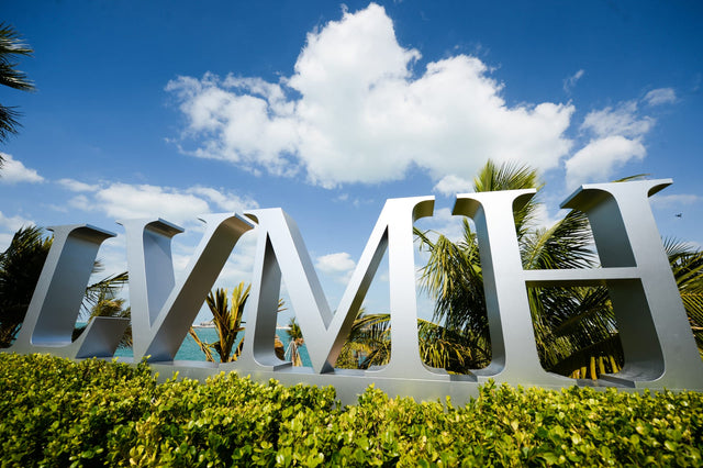 Watches and jewellery carry LVMH through a flat H1